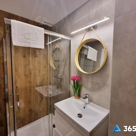 365pam - Faraon 21 *